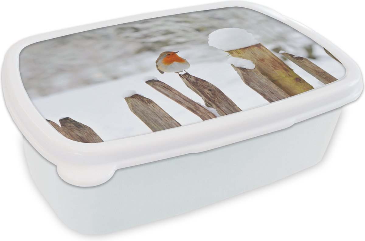 Broodtrommel Wit - Lunchbox - Brooddoos - Vogel - Hek - Sneeuw - 18x12x6 cm - Volwassenen