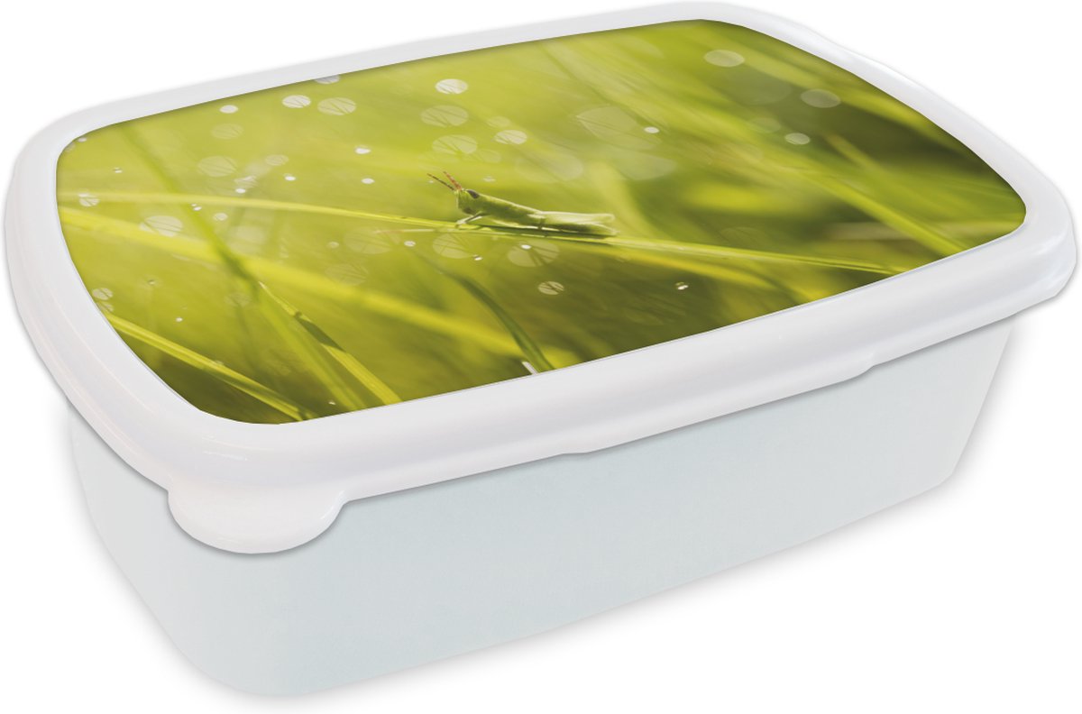 Broodtrommel Wit - Lunchbox - Brooddoos - Sprinkhaan - Gras - Groen - 18x12x6 cm - Volwassenen