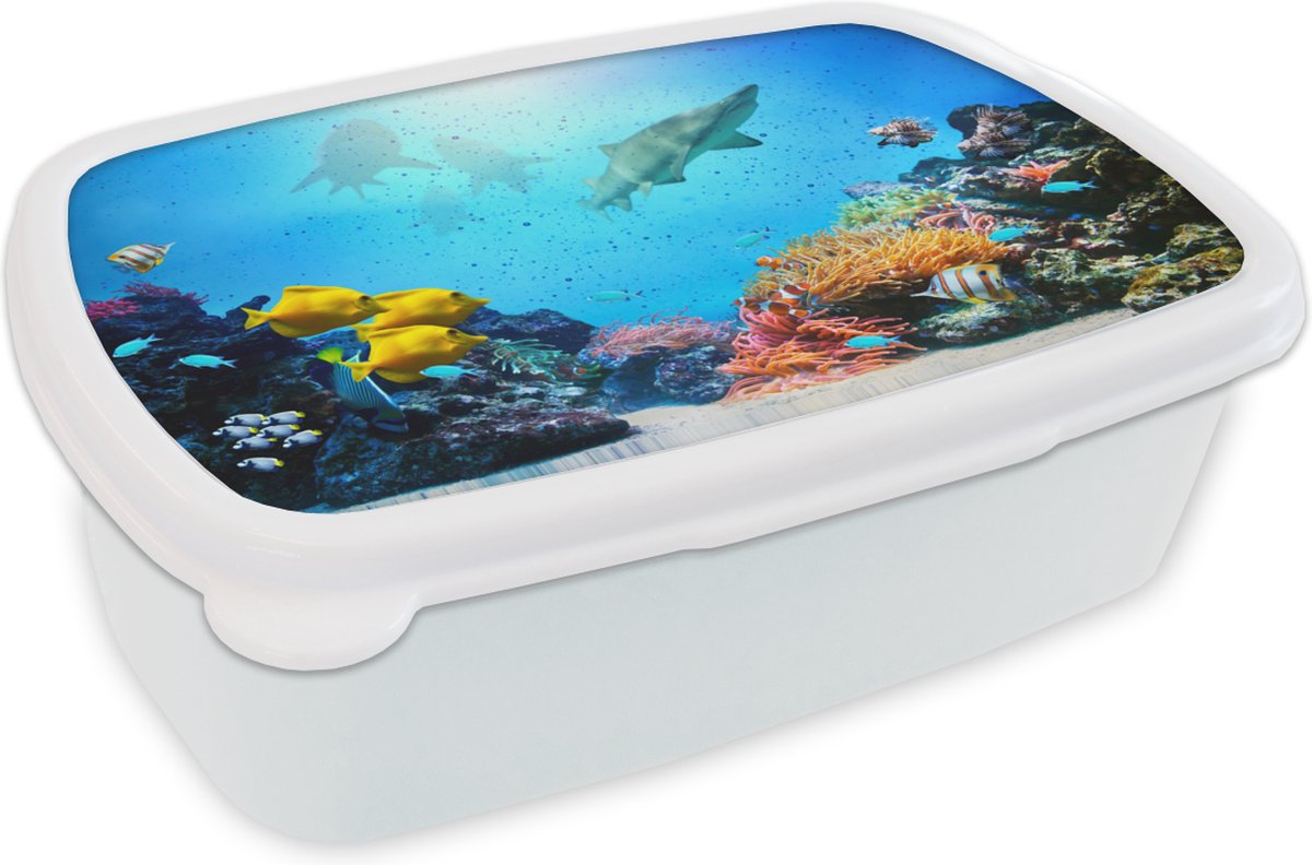 Broodtrommel Wit - Lunchbox - Brooddoos - Zee - Vissen - Koraal - 18x12x6 cm - Volwassenen