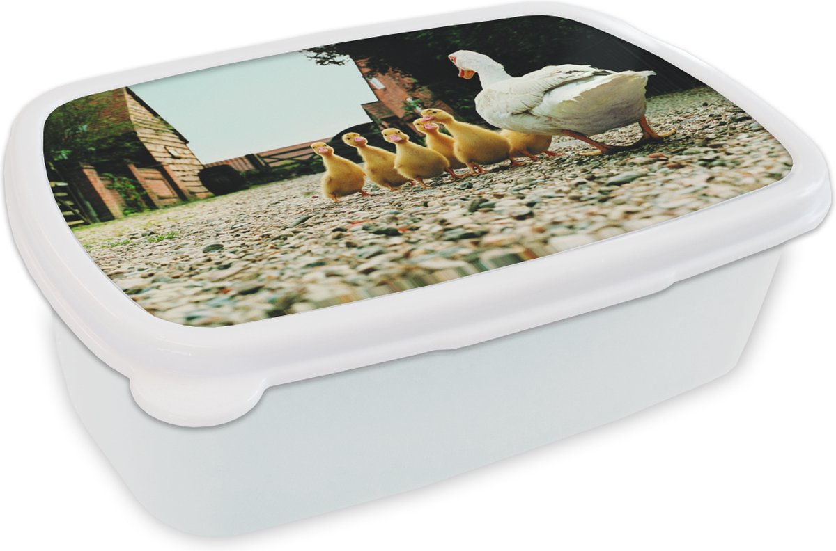 Broodtrommel Wit - Lunchbox - Brooddoos - Eend met jongen - 18x12x6 cm - Volwassenen