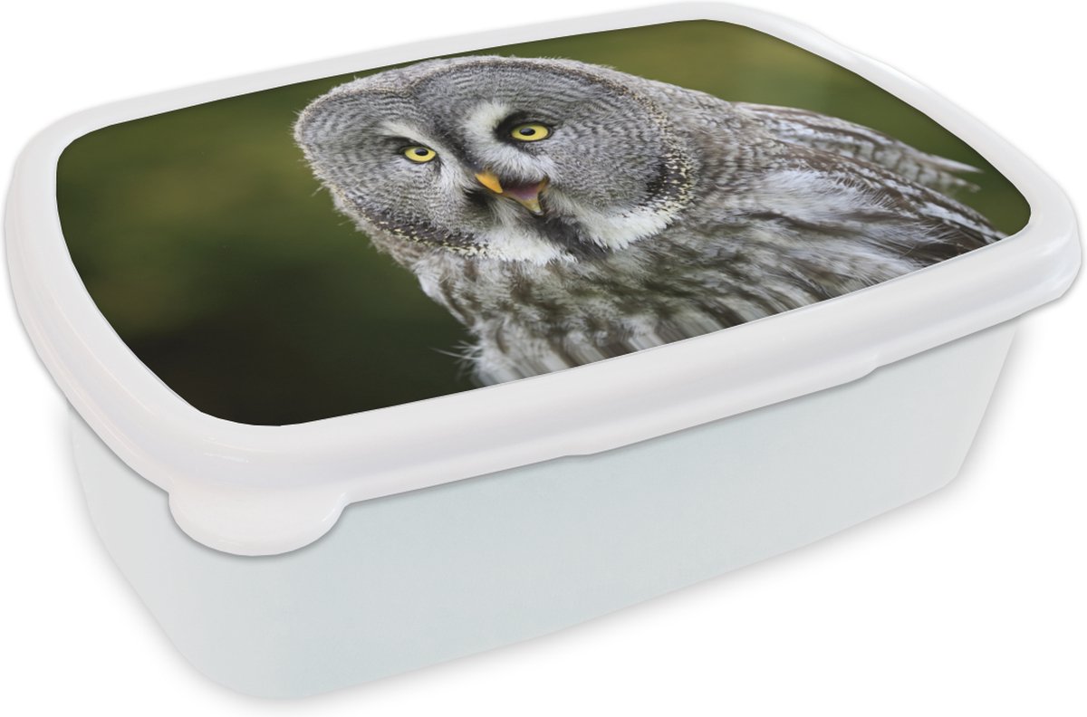 Broodtrommel Wit - Lunchbox - Brooddoos - Vogel - Uil - Grijs - 18x12x6 cm - Volwassenen