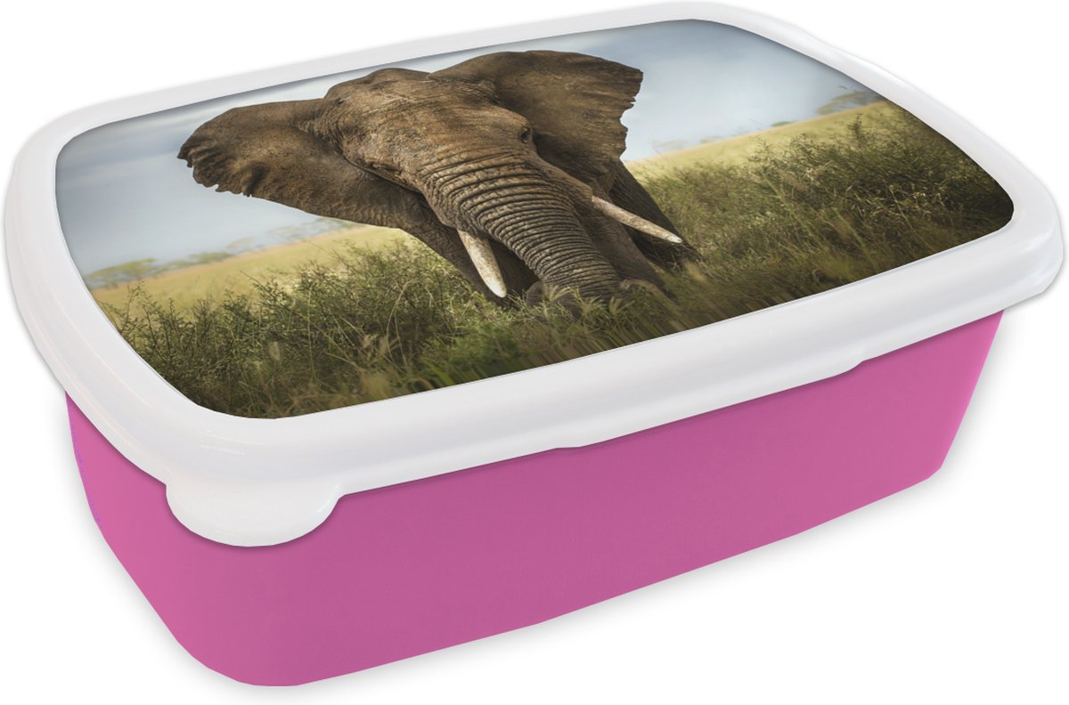Broodtrommel Roze - Lunchbox - Brooddoos - Olifant - Dieren - Gras - 18x12x6 cm - Kinderen - Meisje