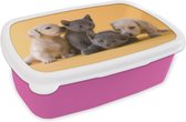 Broodtrommel Roze - Lunchbox Puppy - Kitten - Dieren - Brooddoos 18x12x6 cm - Brood lunch box - Broodtrommels voor kinderen en volwassenen