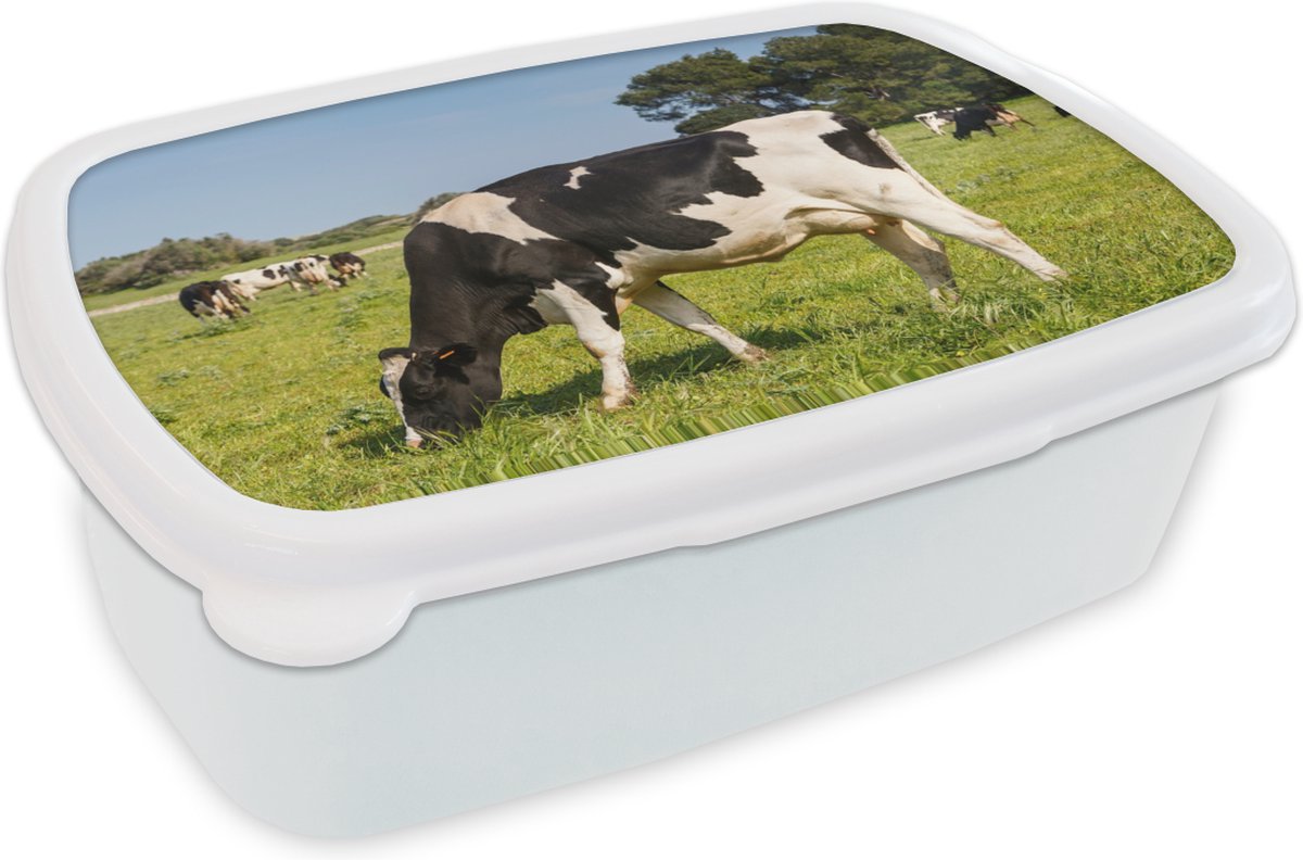 Broodtrommel Wit - Lunchbox - Brooddoos - Koe - Gras - Dieren - Bos - 18x12x6 cm - Volwassenen