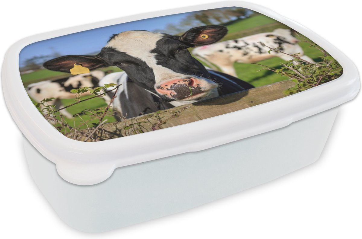 Broodtrommel Wit - Lunchbox - Brooddoos - Koe - Hek - Gras - Dieren - 18x12x6 cm - Volwassenen