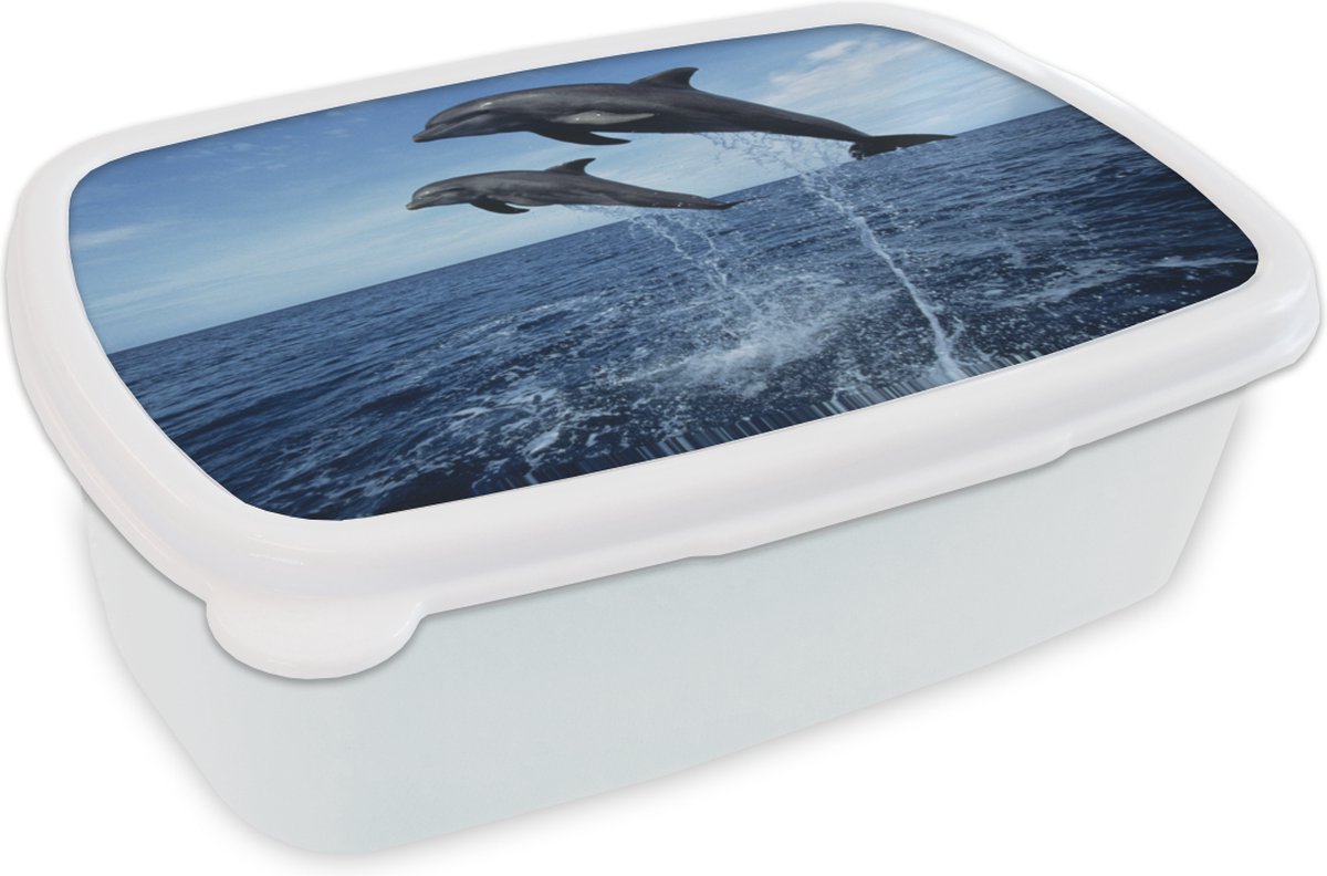 Broodtrommel Wit - Lunchbox - Brooddoos - Dolfijn - Zee - Dier - 18x12x6 cm - Volwassenen