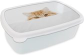Broodtrommel Wit - Lunchbox Kat - Rood - Wit - Meisjes - Kinderen - Jongens - Kind - Brooddoos 18x12x6 cm - Brood lunch box - Broodtrommels voor kinderen en volwassenen