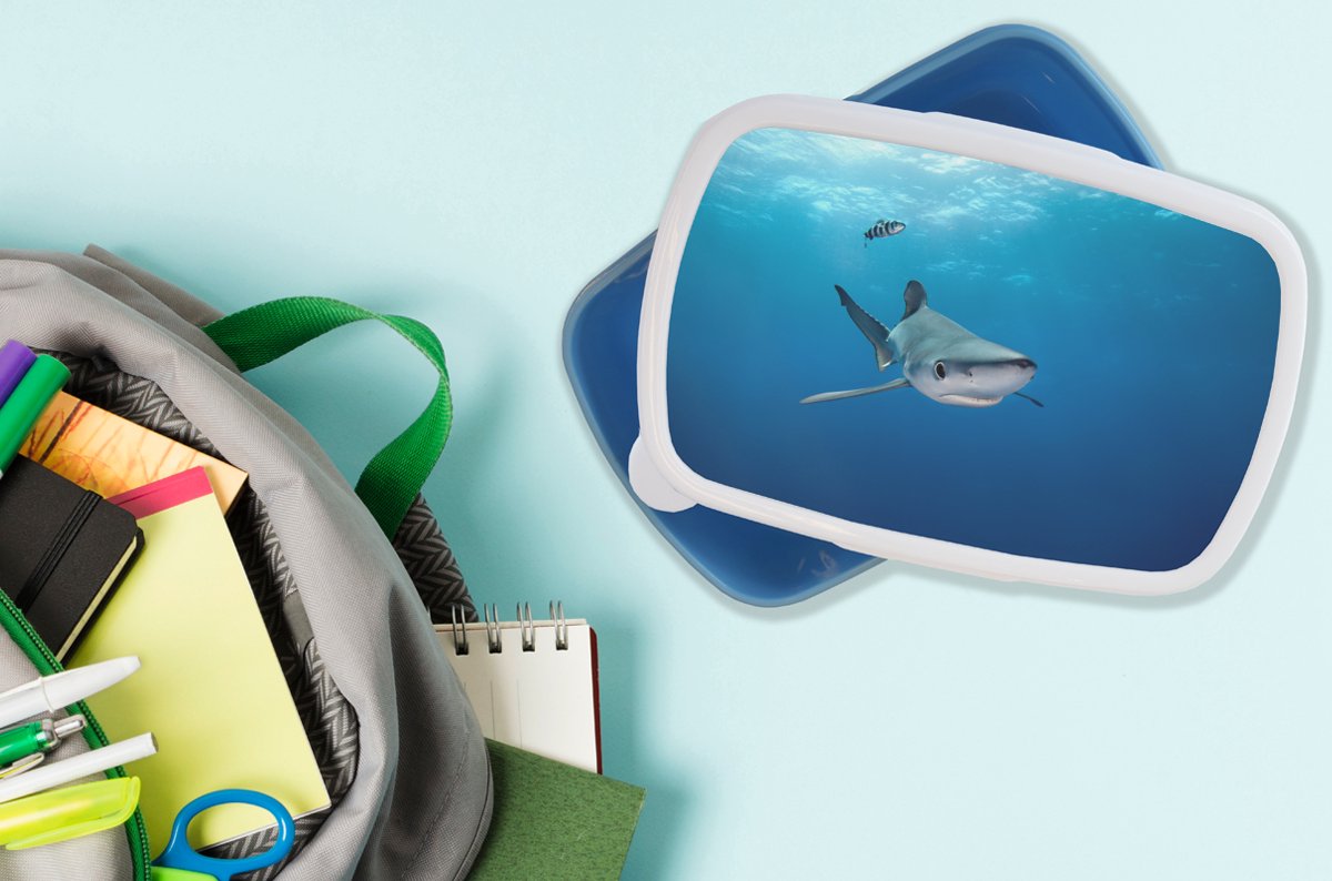 1240139_5