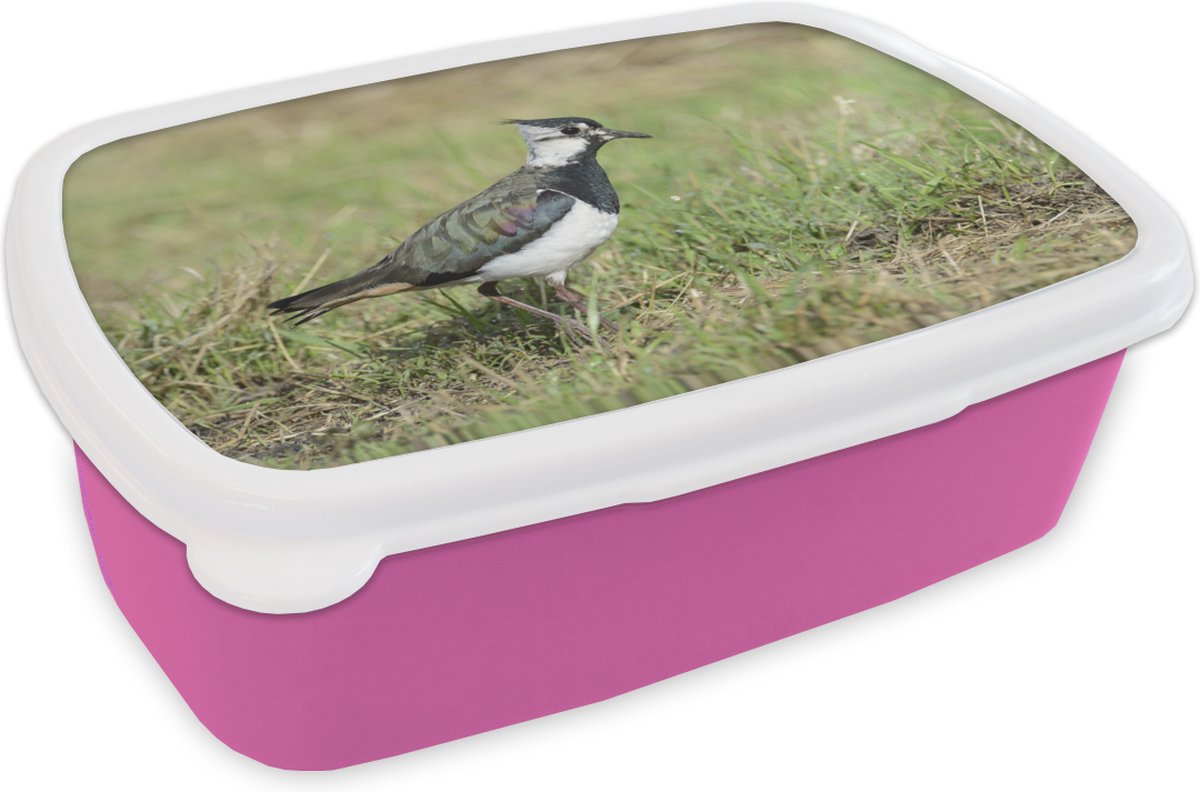 Broodtrommel Roze - Lunchbox - Brooddoos - Kievit in een weide - 18x12x6 cm - Kinderen - Meisje