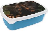 Broodtrommel Blauw - Lunchbox - Brooddoos - Jungle - Koe - Bloemen - Planten - 18x12x6 cm - Kinderen - Jongen