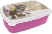 Broodtrommel Roze - Lunchbox Kitten - Sjaal - Kleuren - Meisjes - Kinderen - Jongens - Kindje - Brooddoos 18x12x6 cm - Brood lunch box - Broodtrommels voor kinderen en volwassenen