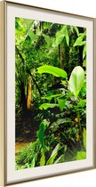 Poster In the Rainforest 30x45