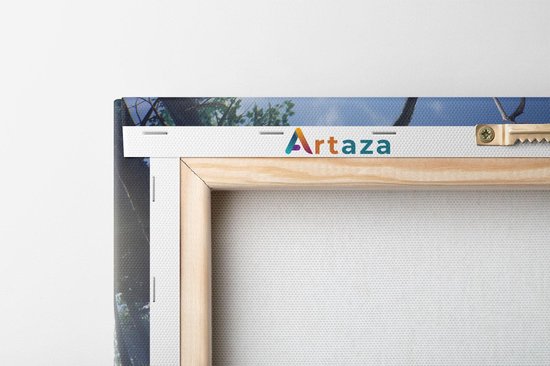 Artaza - Peinture sur toile - Dinosaure Diplodocus dans la forêt - 20x30 - Klein - Photo sur toile - Impression sur toile