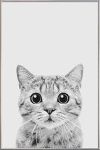 JUNIQE - Poster met kunststof lijst Kitten Classic -20x30 /Wit & Zwart