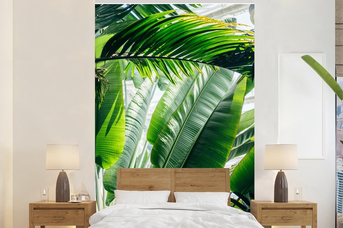 Behang - Fotobehang Zonnestralen schijnen op de palmbladeren in een botanische tuin - Breedte 145 cm x hoogte 220 cm