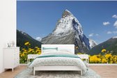 Behang - Fotobehang De Matterhorn in Zwitserland boven een paardebloemweide - Breedte 320 cm x hoogte 240 cm