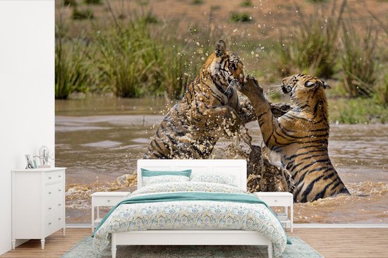 Papier peint Papier peint photo en vinyle - Jeunes tigres jouant dans l'eau largeur 360 cm x hauteur 240 cm - Tirage photo sur papier peint (disponible en 7 tailles)