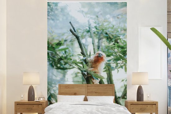 Papier peint - Papier peint photo murale Ouistitis pygmées dans un arbre - Largeur 180 cm x hauteur 280 cm