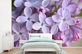 Behang - Fotobehang Close up van paarse seringen bloemen - Breedte 360 cm x hoogte 240 cm