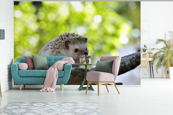 Papier peint photo peint photo vinyle - Petit hérisson en arbre largeur 360 cm x hauteur 240 cm - Tirage photo sur papier peint (disponible en 7 tailles)