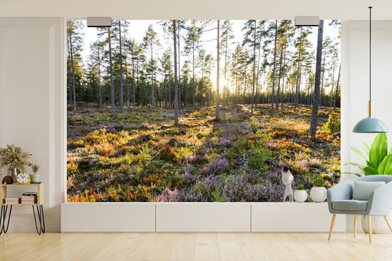 Papier peint Papier peint photo en vinyle - Arbres sur un paysage aux allures de bruyère largeur 600 cm x hauteur 400 cm - Tirage photo sur papier peint (disponible en 7 tailles)
