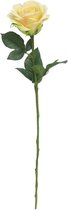 Gerimport Droogbloem Roos 70 Cm Geel/groen