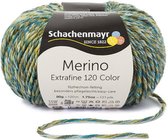 Laine à tricoter Schachenmayr Merino Extrafine Color 120 Nr 00498