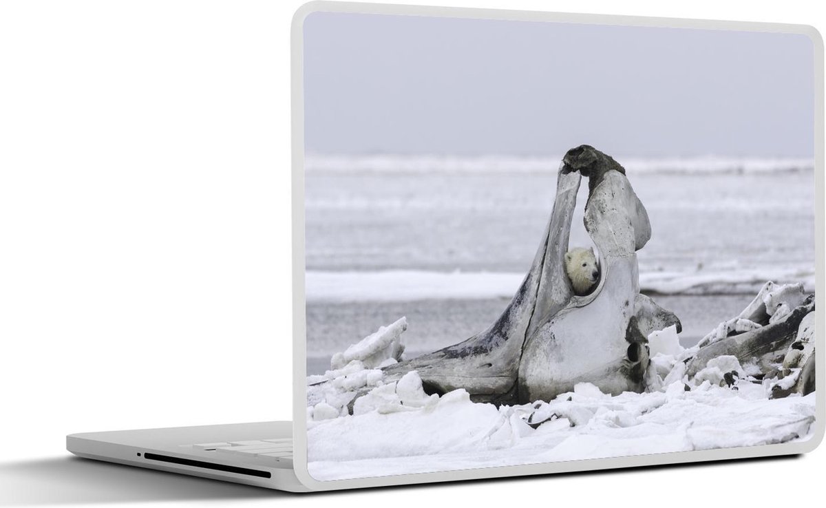 Afbeelding van product SleevesAndCases  Laptop sticker - 10.1 inch - IJsbeer - Rots - Sneeuw