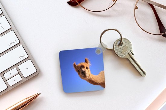 Porte-clés - Alpaga - Blauw - Ciel - Plastique