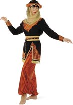 1001 Nacht & Arabisch & Midden-Oosten Kostuum | Charmante Oosterse Prinses Sultana | Vrouw | Maat 42 | Carnaval kostuum | Verkleedkleding