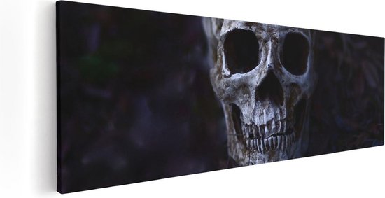 Artaza Canvas Schilderij Schedel - Doodshoofd - 120x40 - Groot - Foto Op Canvas - Canvas Print