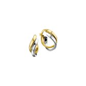 The Jewelry Collection Oorringen 5,5 mm Vlakke Buis - Bicolor Goud