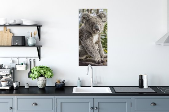 Poster Koala - Bois - Plantes - Kids - Garçons - Meiden - 40x80 cm