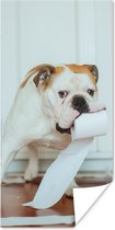 Poster Hond spelend met wc-papier - 80x160 cm