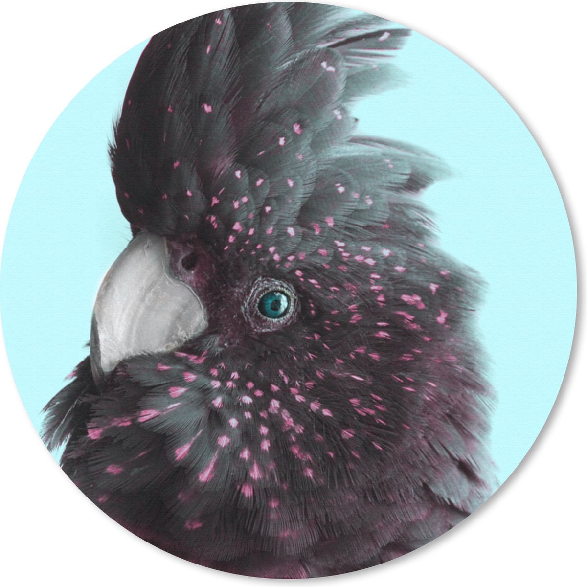 Muismat rond 20x20 cm - Mousepad Kaketoe - Blauw - Zwart - Ronde muismatten