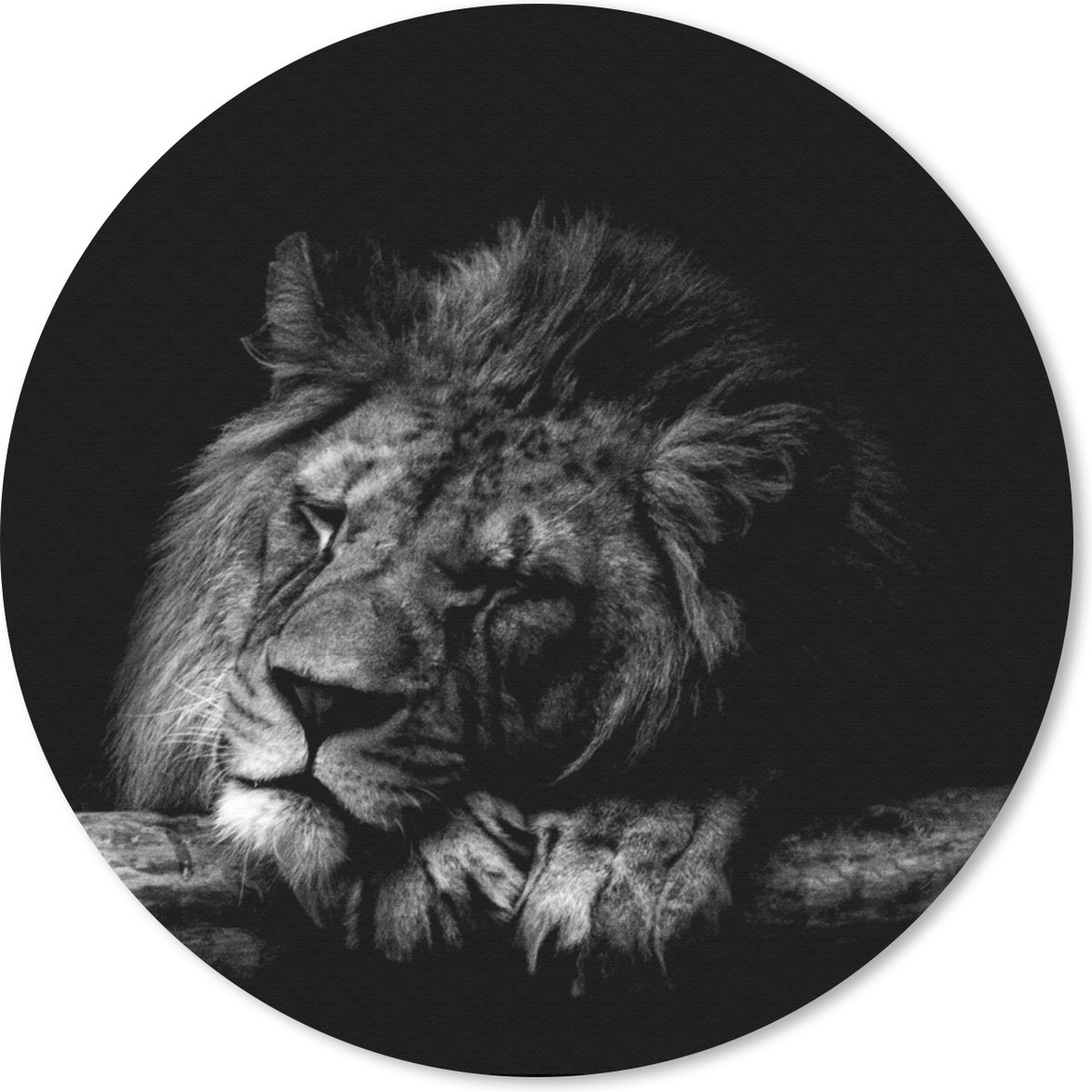 Muismat rond 30x30 cm - Mousepad Leeuw - Boom - Zwart - Wit - Ronde muismatten