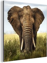 Wanddecoratie Metaal - Aluminium Schilderij Industrieel - Afrikaanse olifant vooraanzicht - 50x50 cm - Dibond - Foto op aluminium - Industriële muurdecoratie - Voor de woonkamer/slaapkamer