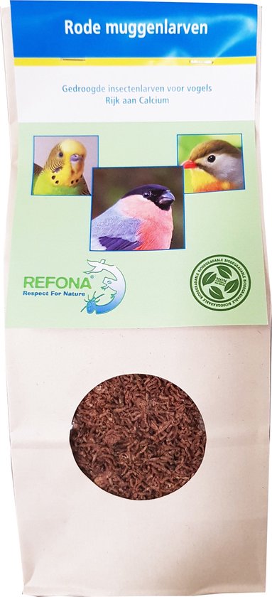 Dit is de voorouder van alle zoogdieren - KIJK Magazine