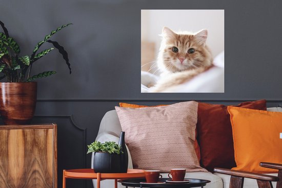 Poster Chat - Rouge - Lit - 50x50 cm
