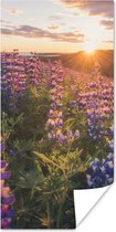 Poster Lupine - Zon - Paars - 20x40 cm