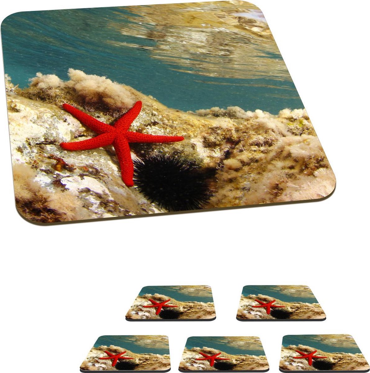 Onderzetters voor glazen - Zeester - Koraal - Zee - 10x10 cm - Glasonderzetters - 6 stuks