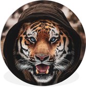 WallCircle - Peinture - Vêtements De Tigre - Multicolore - 150 X 150 Cm