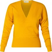 IVY BEAU Zivana Trui - Sunflower - maat 46