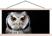 Posterhanger incl. Poster 150x75 cm - Schoolplaat - Close-up uil - Textielposter - Blanke latten
