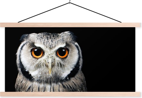 Posterhanger incl. Poster - Schoolplaat - Close-up uil - 150x75 cm - Blanke latten