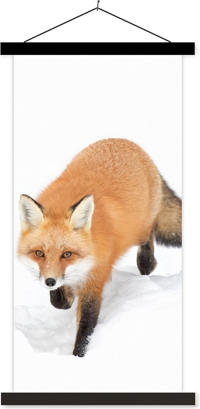 Porte-affiche avec affiche - Affiche scolaire - Renard - Neige - Hiver - 60x120 cm - Lattes noires