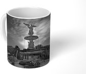 Mok - Fontein in Central Park in New York -Zwart-wit - 350 ML - Beker