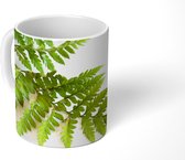Mok - Groen blad van een varen - 350 ML - Beker