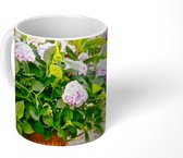 Mok - Boeket van hortensia - 350 ML - Beker