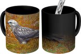 Magische Mok - Foto op Warmte Mok - Ruigpootbuizerd in een herfstlandschap - 350 ML